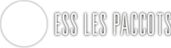 Logo inversé de l'école